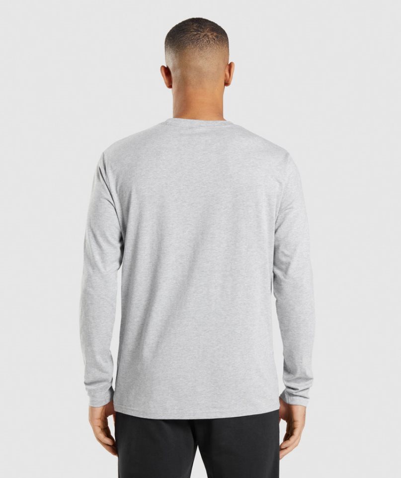 Men's Gymshark Crest Long Sleeve T-Shirts Light Grey | NZ 3UJBWM